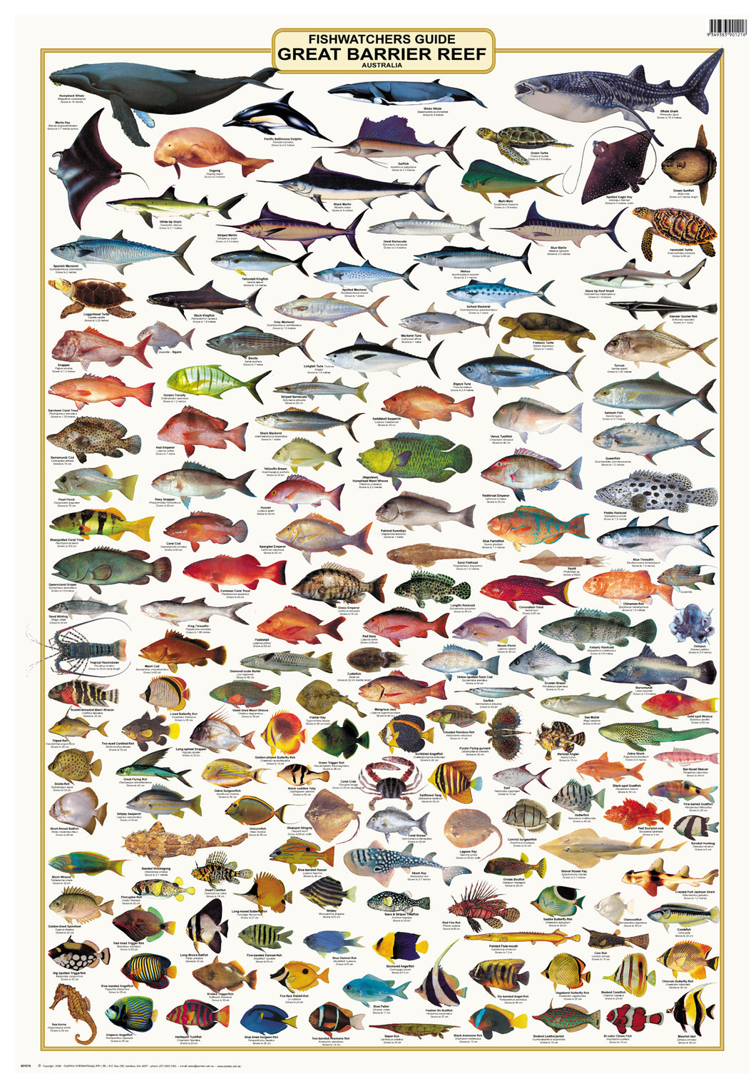 Coral Reef Fish Chart