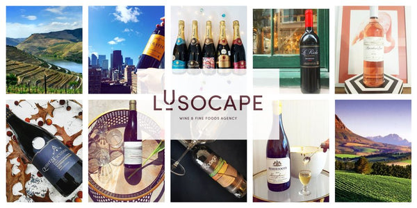 Lusocape Wines