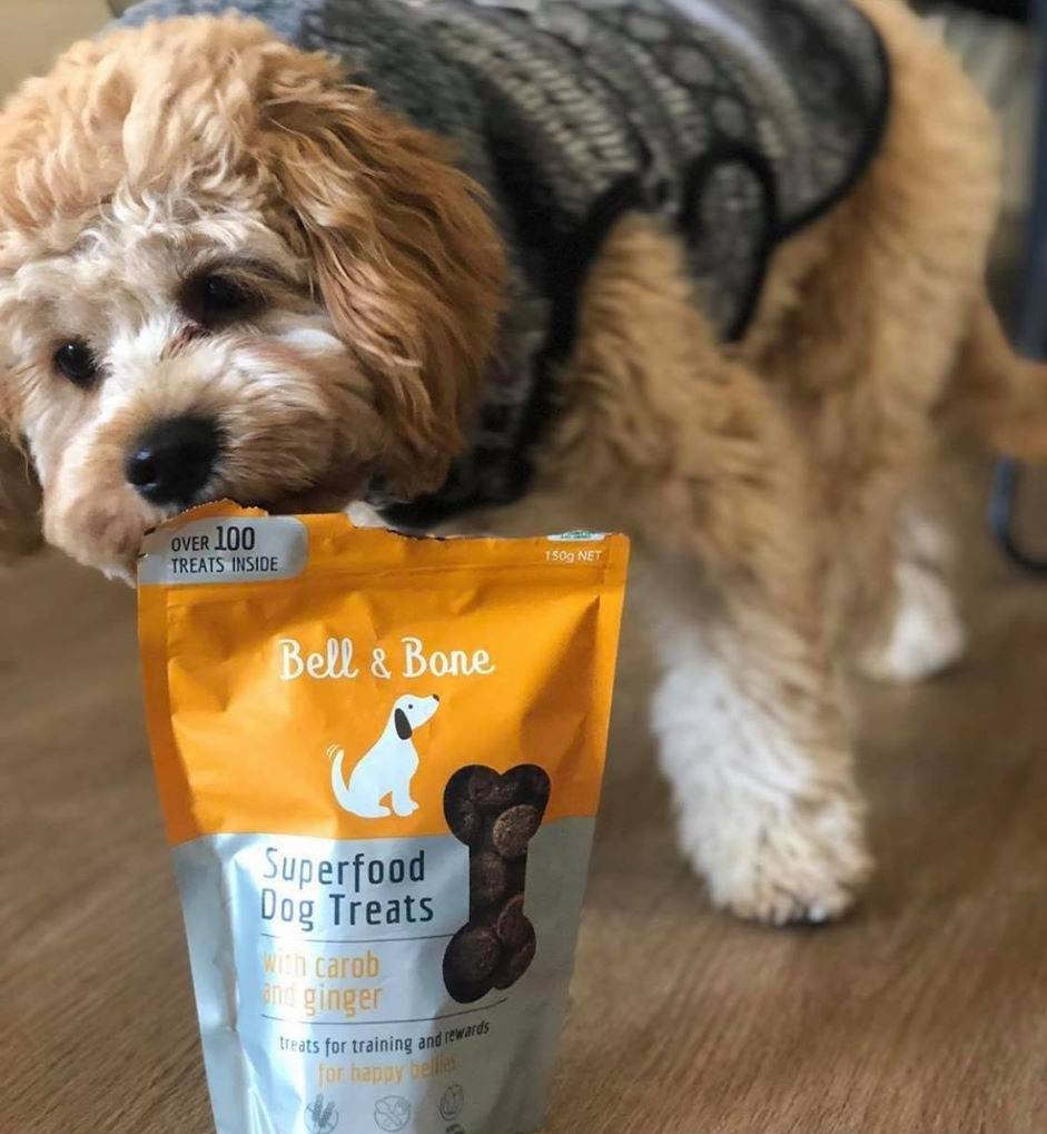 best treats for labradoodle puppies