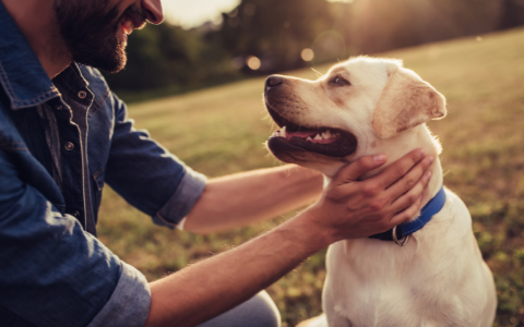 man hugging dog in park