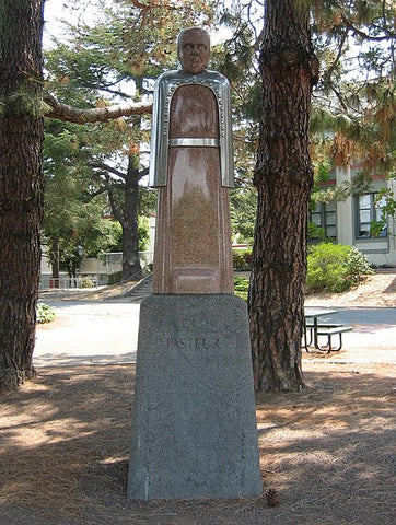 Statue of the chemist Louis Pasteur at San Rafael High School was where 420 was born in California.