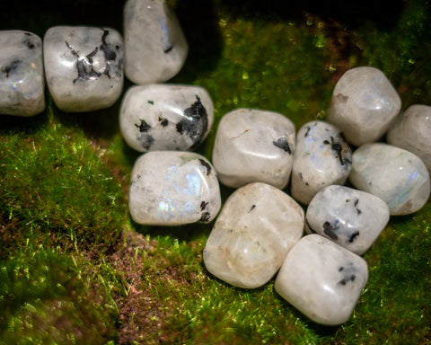 Rainbow Moonstone Tumbles