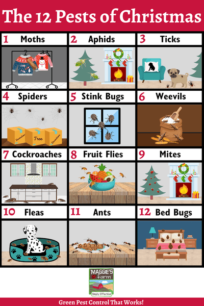 12 Pests of Christmas infographic 