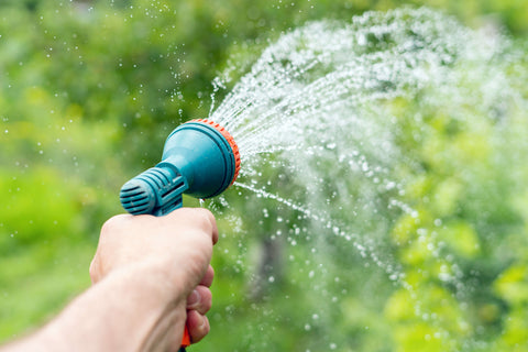 Spraying water garden hose