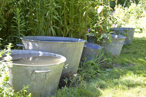 Buckets filled with water