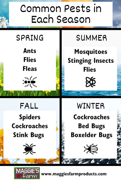 Common Pests in Each Season infographic