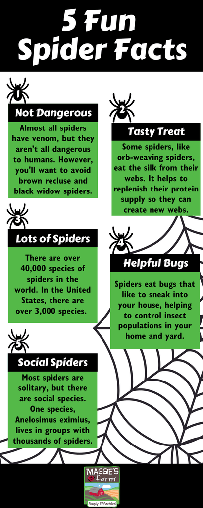 Types of Spiders, Spider Facts