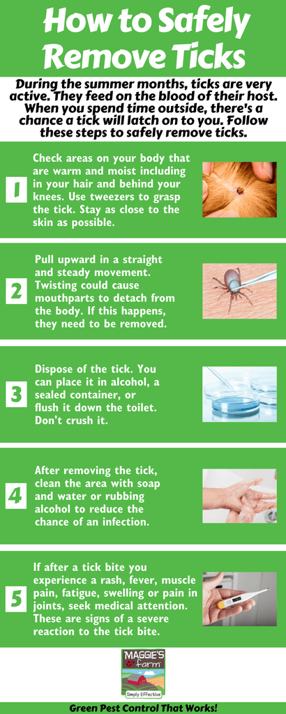 Removing Ticks Infographic