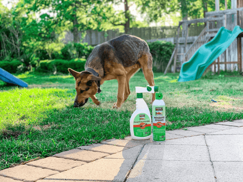 Maggie's Farm Safe for Pets