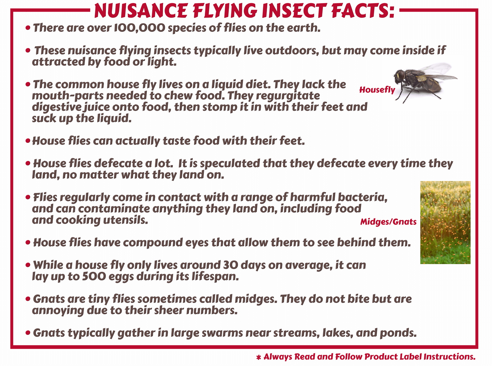 https://cdn.shopify.com/s/files/1/0006/5624/4814/files/NuisanceFlyingInsects-Facts_2048x2048.png?v=1547588497