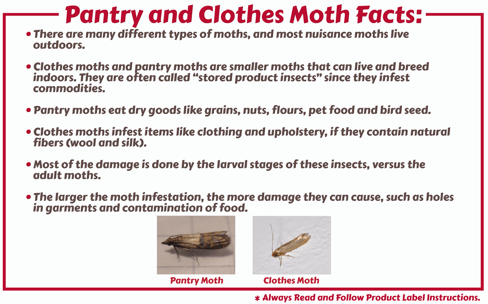 Clothing moth prevention tips