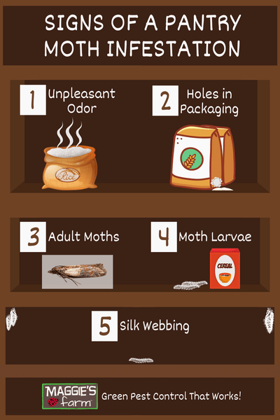 https://cdn.shopify.com/s/files/1/0006/5624/4814/files/Signs_of_a_Pantry_Moth_Infestation_600x600.png?v=1631211909