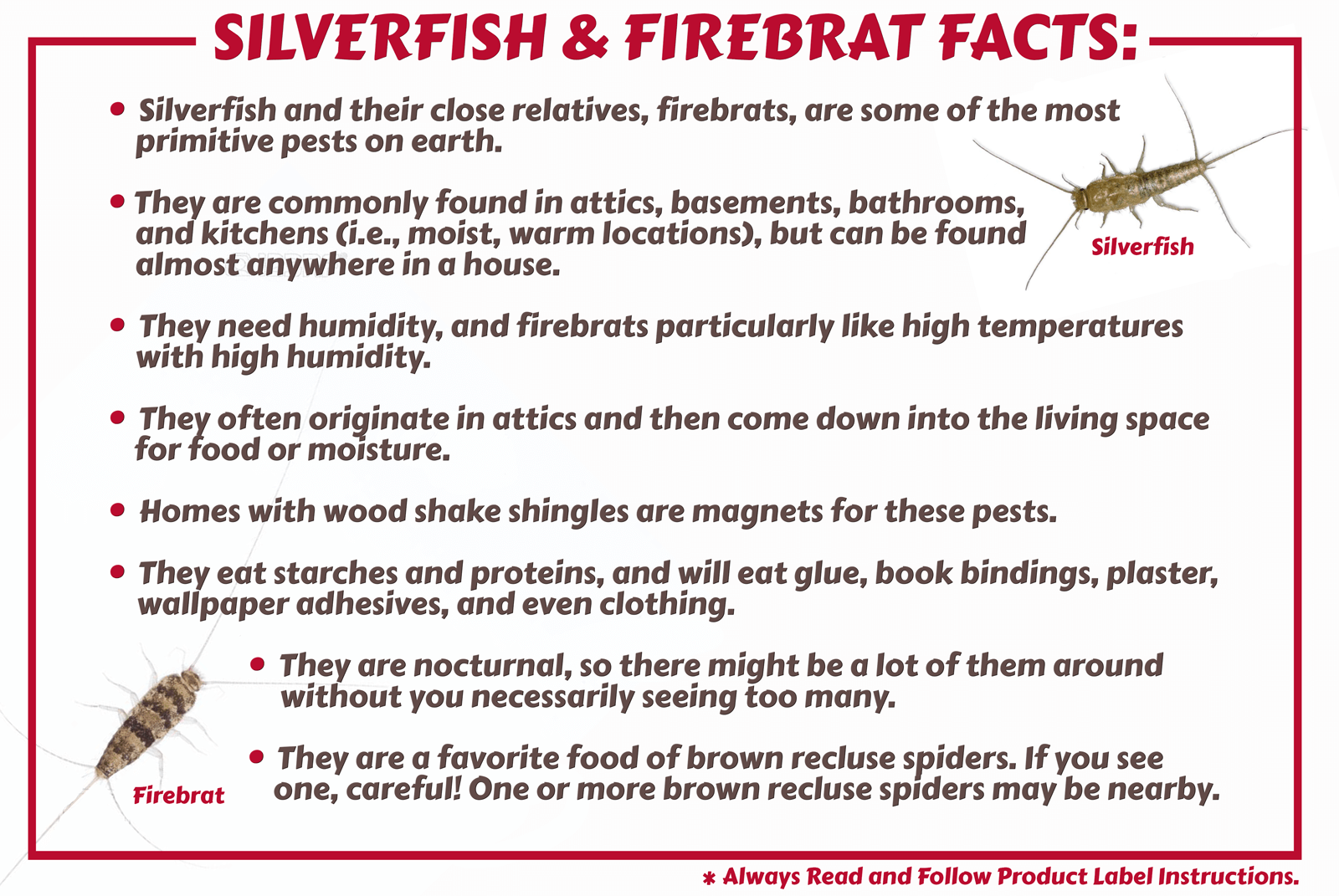 Silverfish & Firebrats  Control Strategies & Products – Maggie's