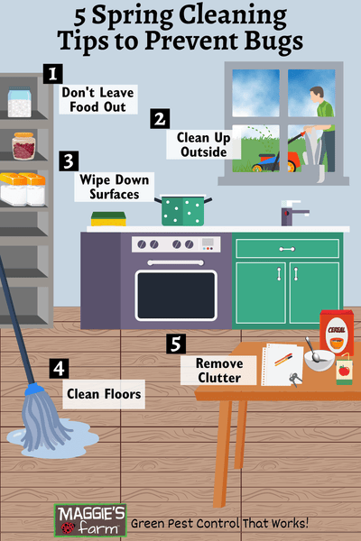 5 Spring Cleaning Tips to Prevent Bugs infographic