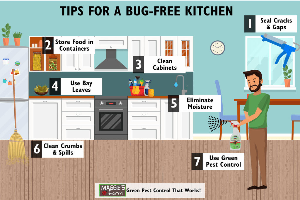 Tips for a Bug-Free Kitchen infographic 