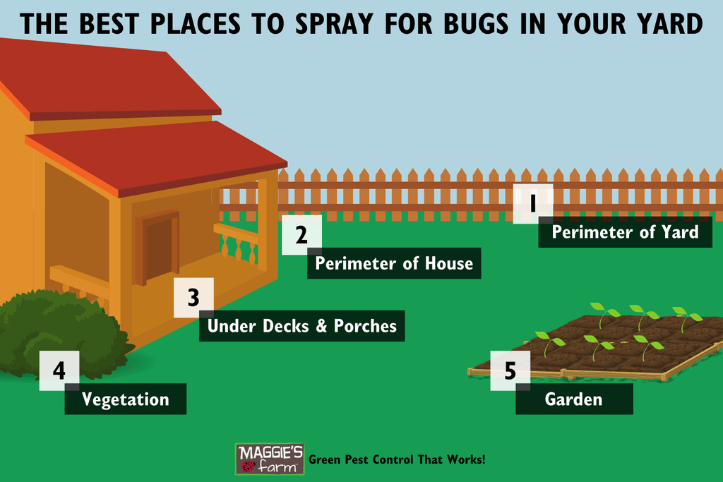 The Best Places to Spray for Bugs in Your Yard infographic