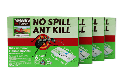 No Spill Ant Kill