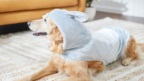 Easter Bunny Dog Costume