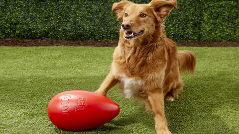 Egg-shaped fetch toys