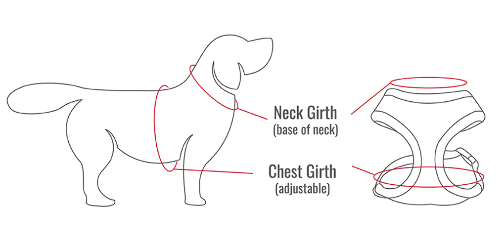 How to Measure Your Dogs Neck and Breast Girth to fit a dog harness