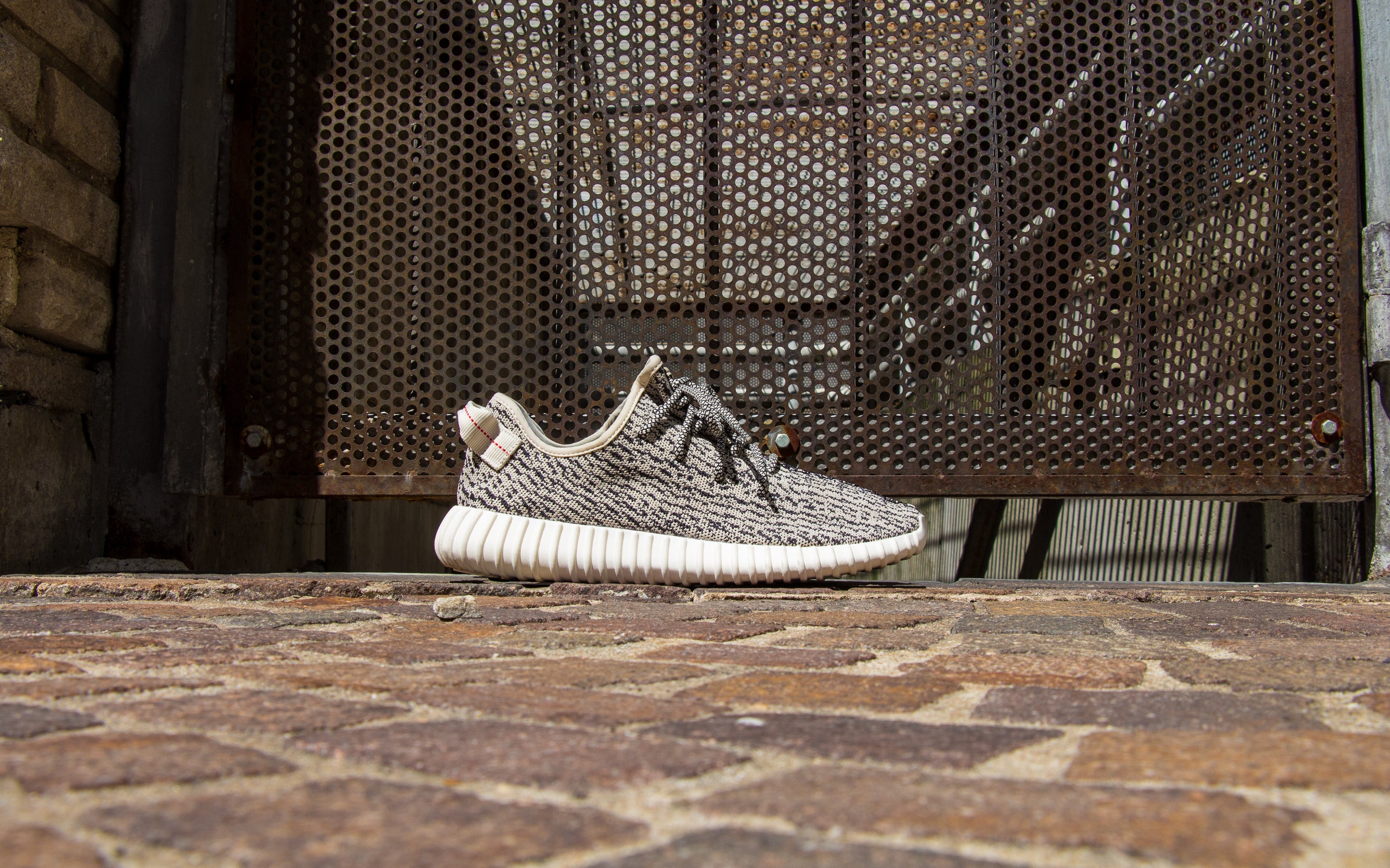 v1 turtle dove