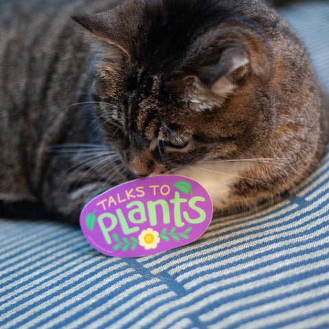 a cat with a vinyl sticker