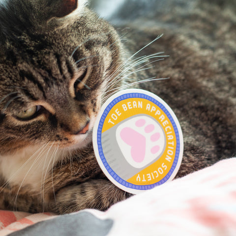 cat with a sticker