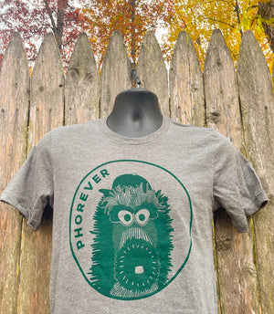 Mascot Breaking Through Wall Philadelphia Eagles T-Shirt - Cruel Ball