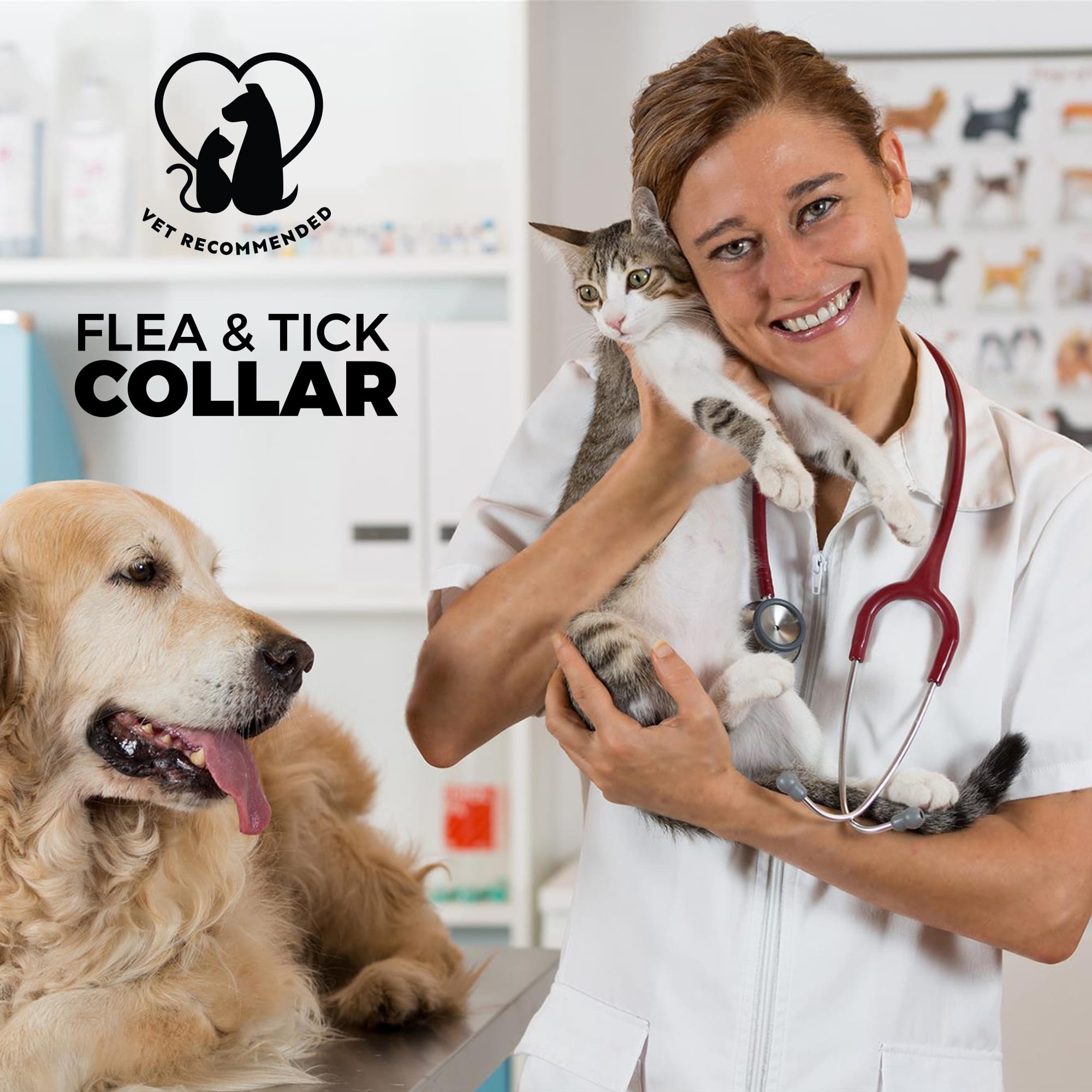 earth animal flea and tick collar