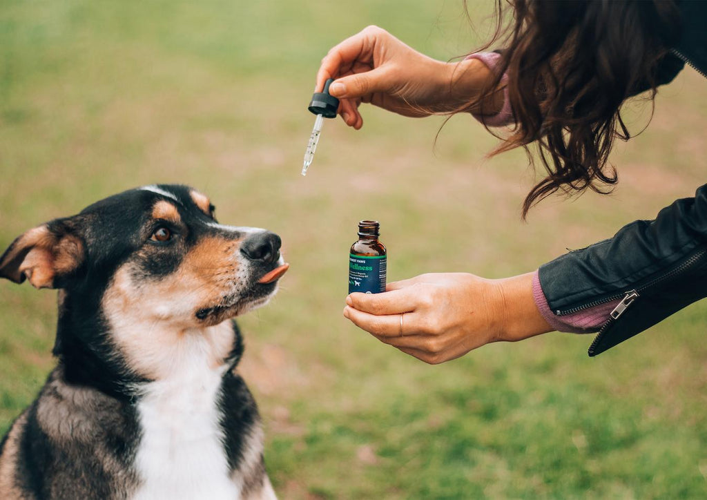 The standard dose of CBD oil for your pet will depend on a variety of factors including weight body functions and more but you can typically find dosage charts or dosing guidelines online