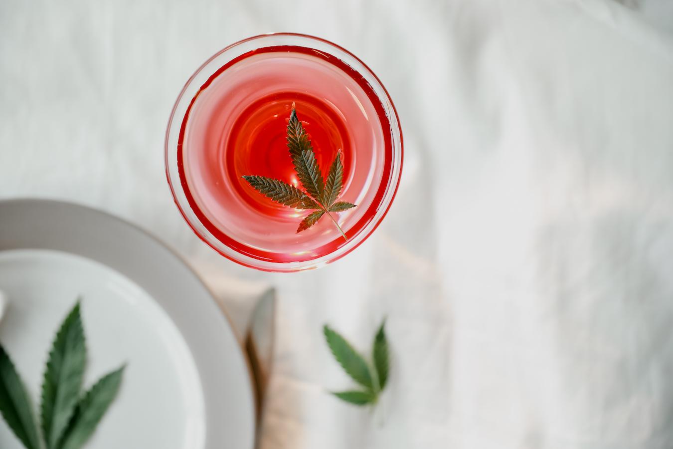 a red drink with a marijuana leaf on top federal regulations federal level cbd gummies 18 to buy cbd gummies state laws federal level ship cbd medical cannabis programs age limits cbd purchases age limits age restrictions cbd sales cbd product age restrictions cbd product age restrictions cbd product