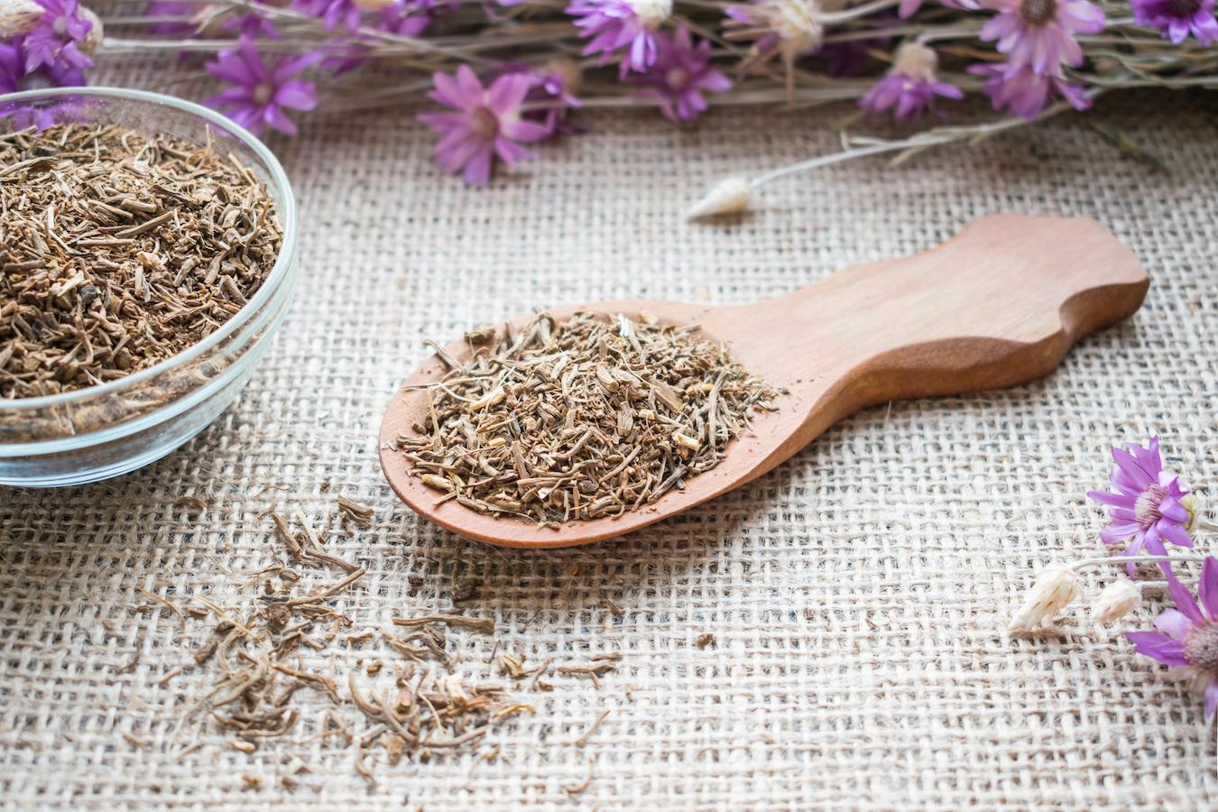 dried valerian root recommended dosage poor sleep melatonin production melatonin levels valerian root stay drug interactions how much valerian root