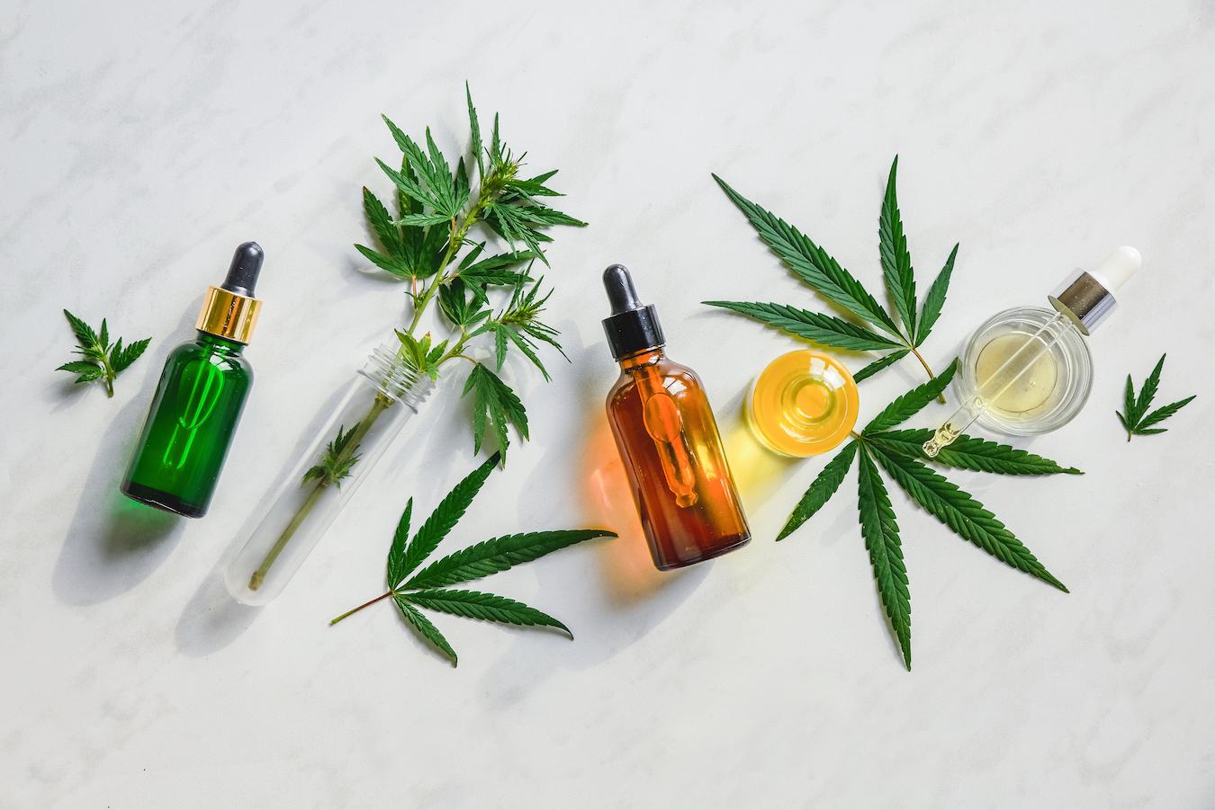 various glass bottles and marijuana leaves on a countertop health food cbd product cbd content full spectrum cbd hemp extract cbd oil