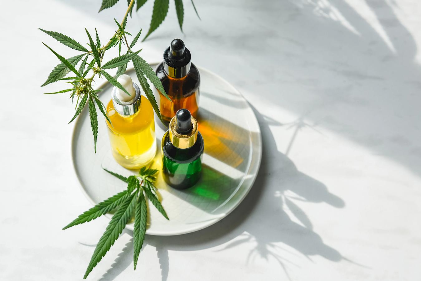 various glass dropper bottles of cbd oil stress relief integrated cbd and meditation relaxation breath mood stress anxiety daily life hemp plant