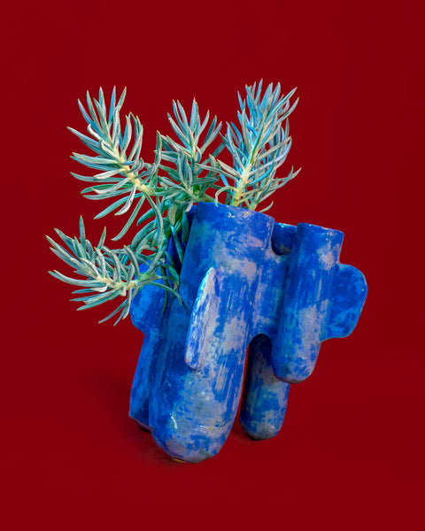 A Senecio in a custom planter by Yuko Nishikawa, photograhed at Tula Plants & Design.