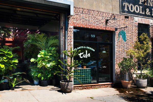 Tula Plants & Design in Brooklyn, NY.
