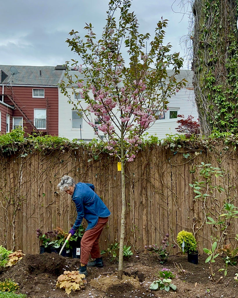 Woman digging in a garden with a shovel