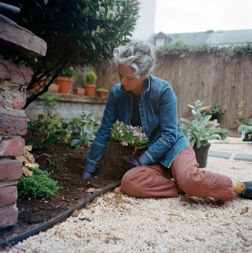 Woman planting flowers in an outdoor garden