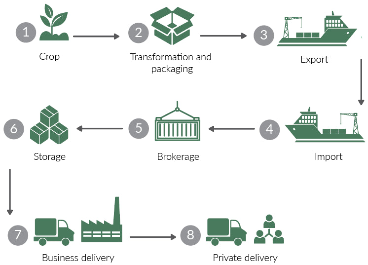 Soursop snack value chain