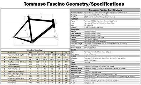 tommaso fascino sport performance aluminum road bike