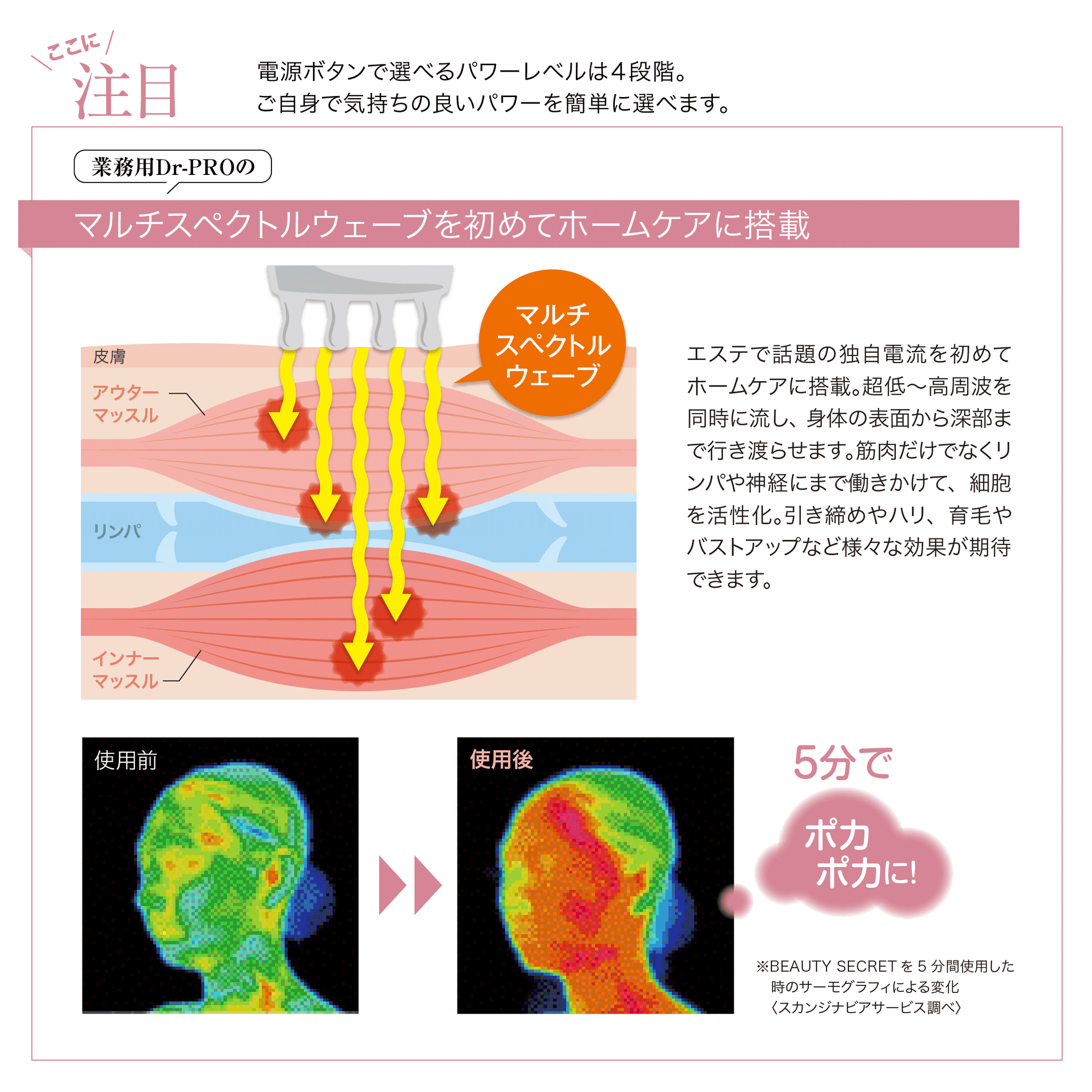 Dr-PRO BEAUTYSECRET ドクタープロビューティシークレット（ジェル