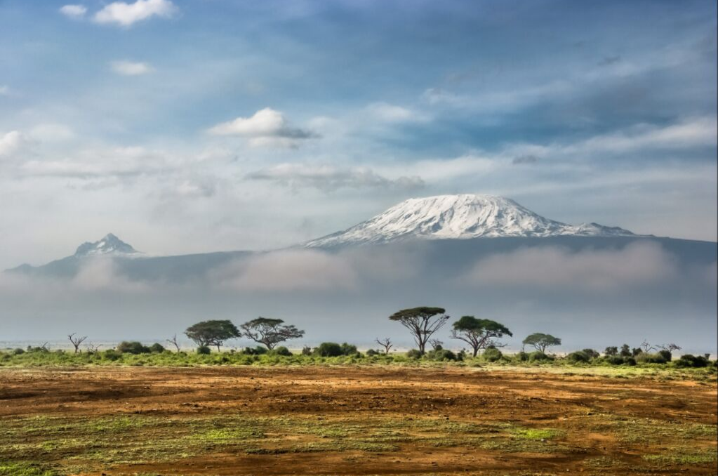 Kilimanjaro