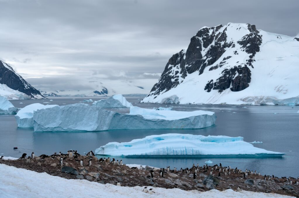 Antarctica 