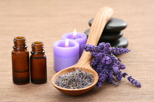 Lavender Medicinal Benefits | J-Life
