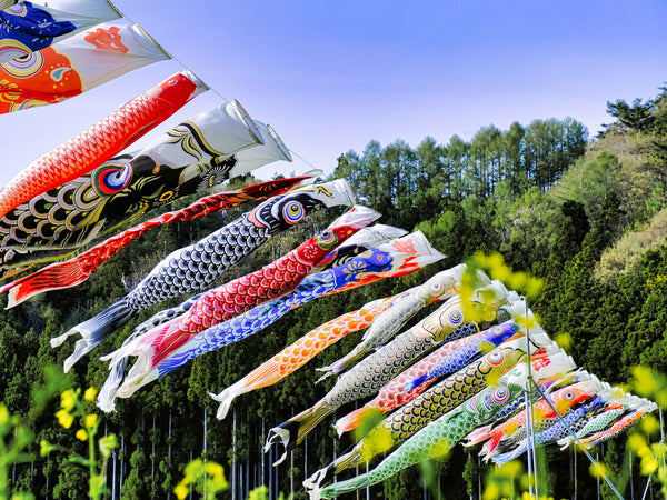 Japanese Carp Koinobori Windsocks | J-Life