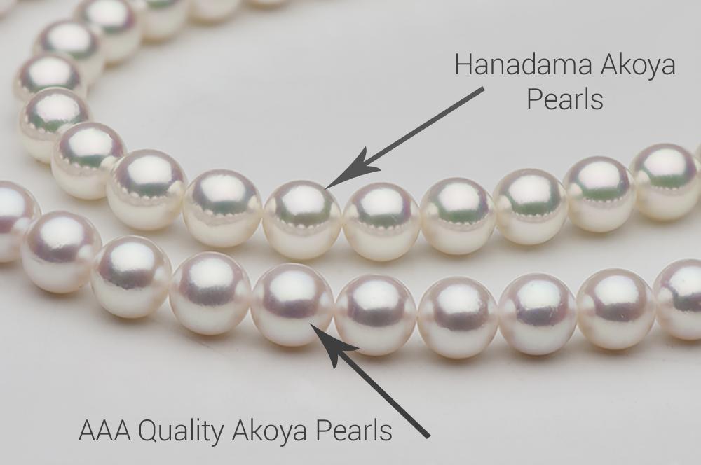 Hanadama vs AAA Quality Akoya Pearls