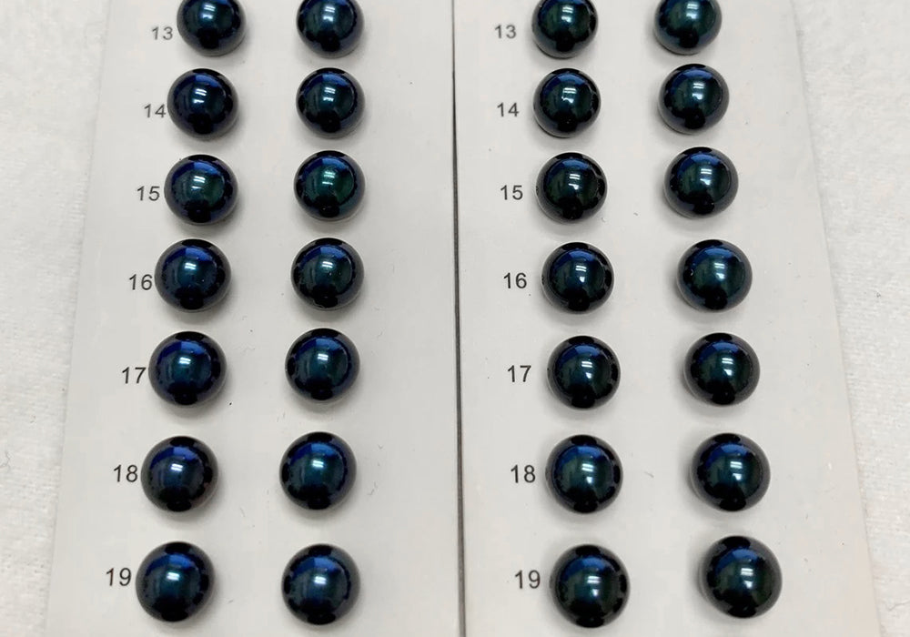 Black Akoya Pearls have a Midnight Blue-Black Overtone