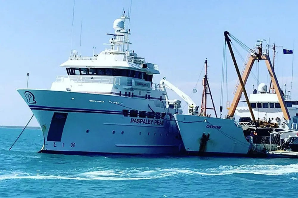 Paspaley Pearl Yacht