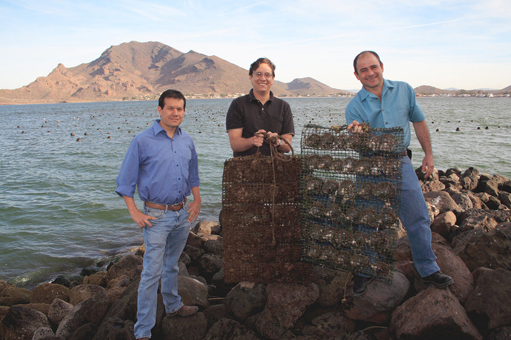Douglas McLaurin and Partners at Sea of Cortez Pearl Farm
