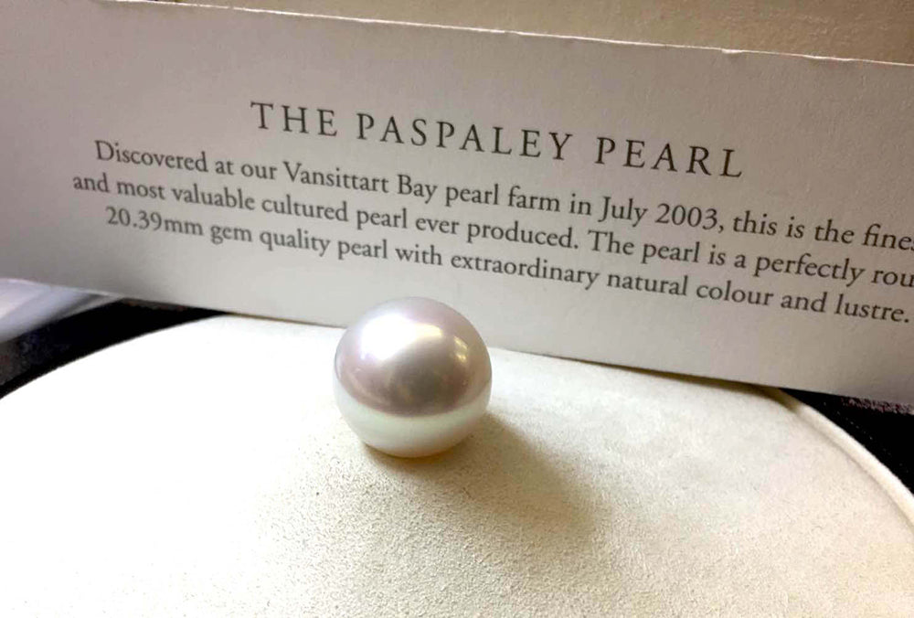 The Paspaley Pearl White South Sea Pearls